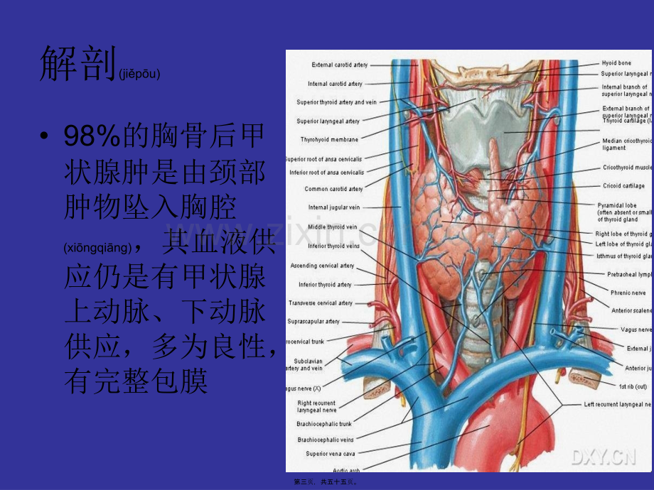 学术讨论—胸骨后甲状腺肿的外科处理.ppt_第3页