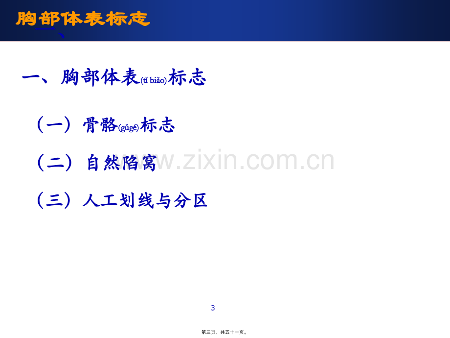 胸部评估(一).ppt_第3页