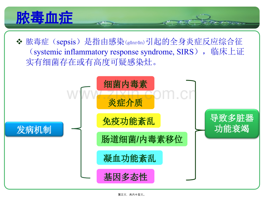 脓毒血症AKI.ppt_第3页