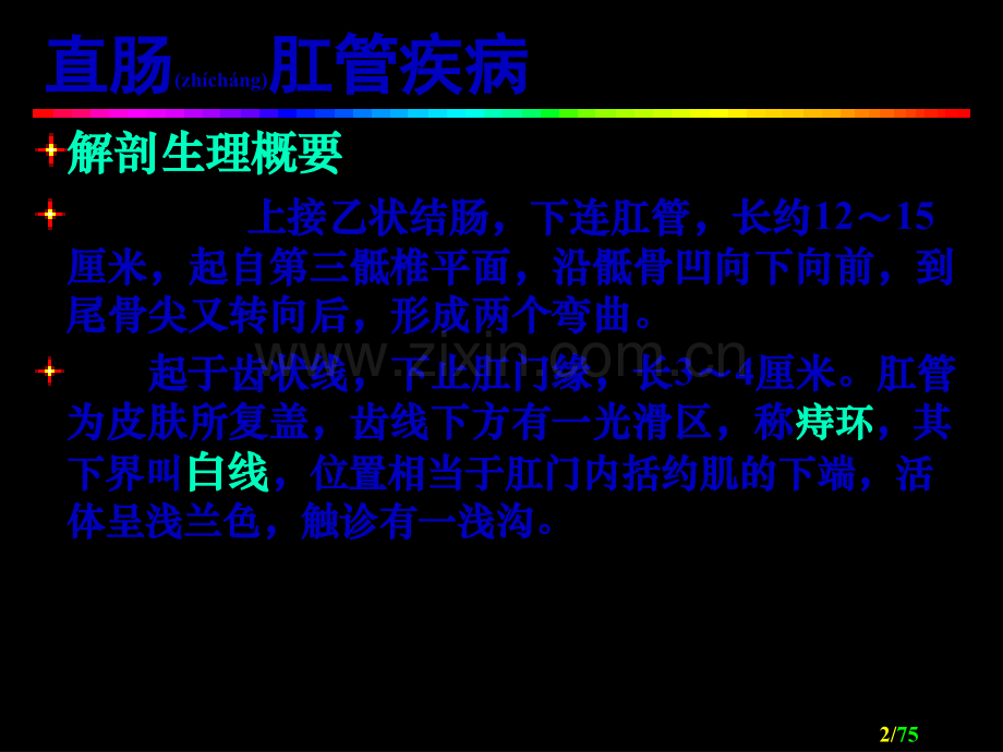 肛肠外科(讲述).ppt_第2页