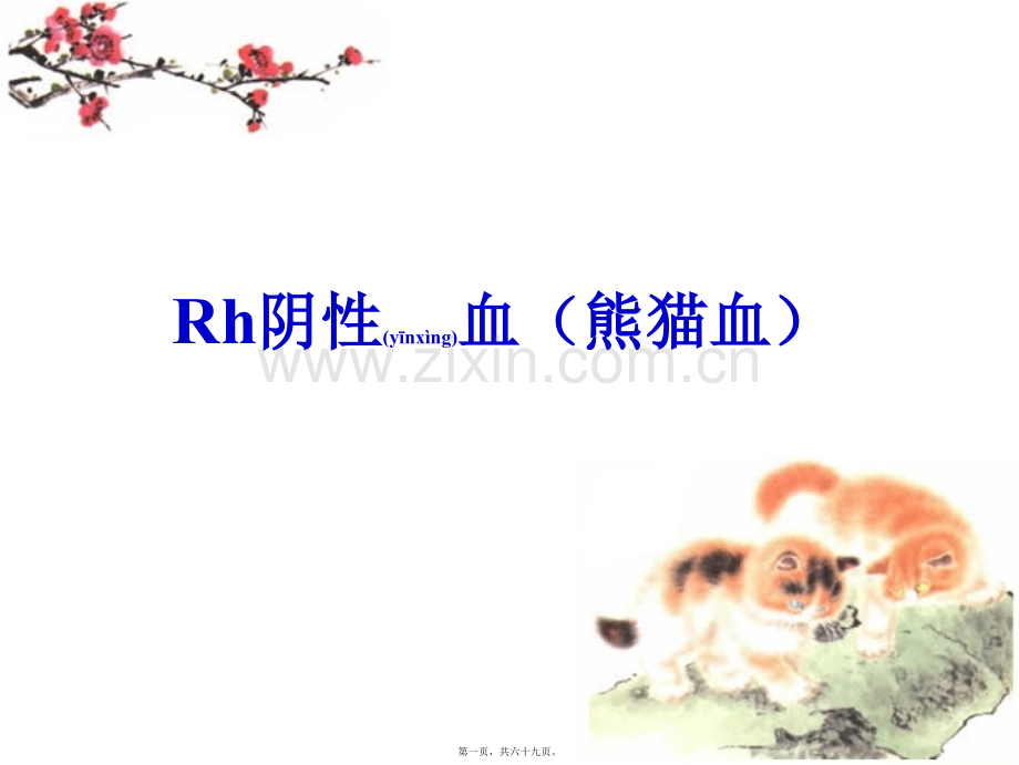 Rh阴性血型有关知识分析.ppt_第1页