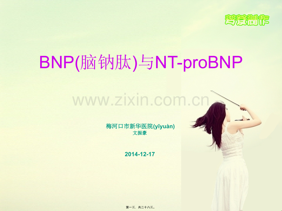 脑钠肽(BNP).ppt_第1页