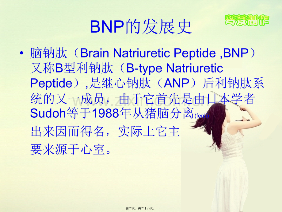 脑钠肽(BNP).ppt_第2页