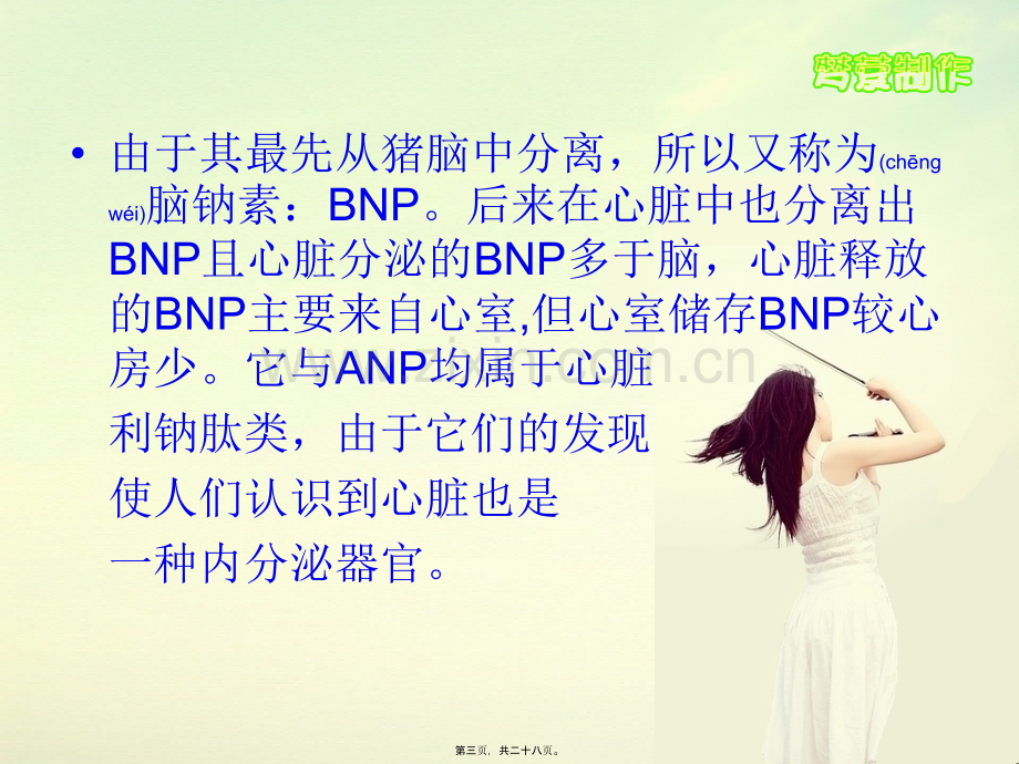 脑钠肽(BNP).ppt_第3页