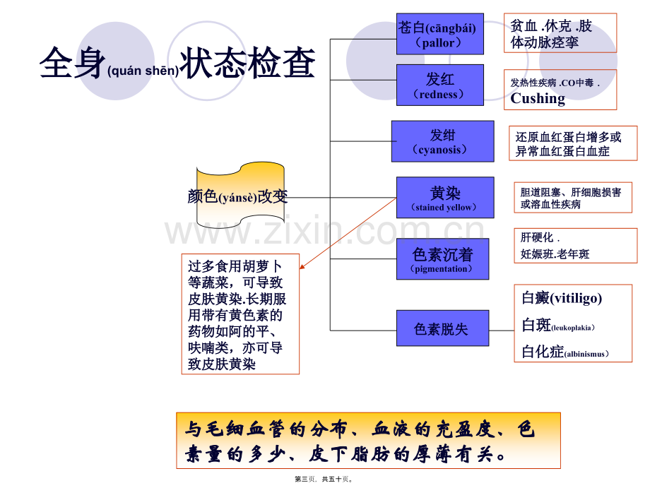 学术讨论—一般检查皮肤分解.ppt_第3页