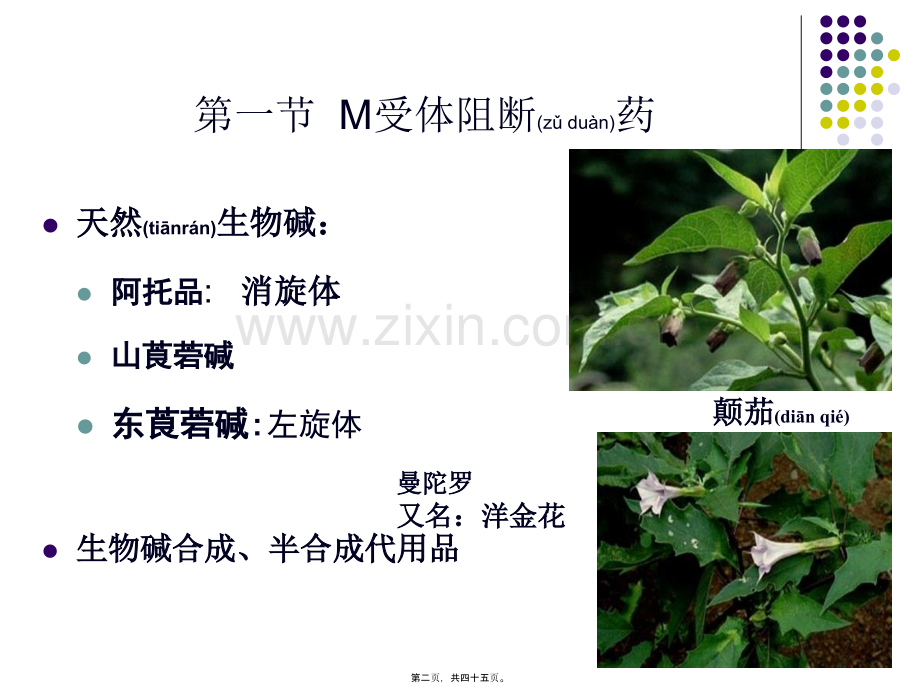 wxr2-2010胆碱受体阻断药.ppt_第2页