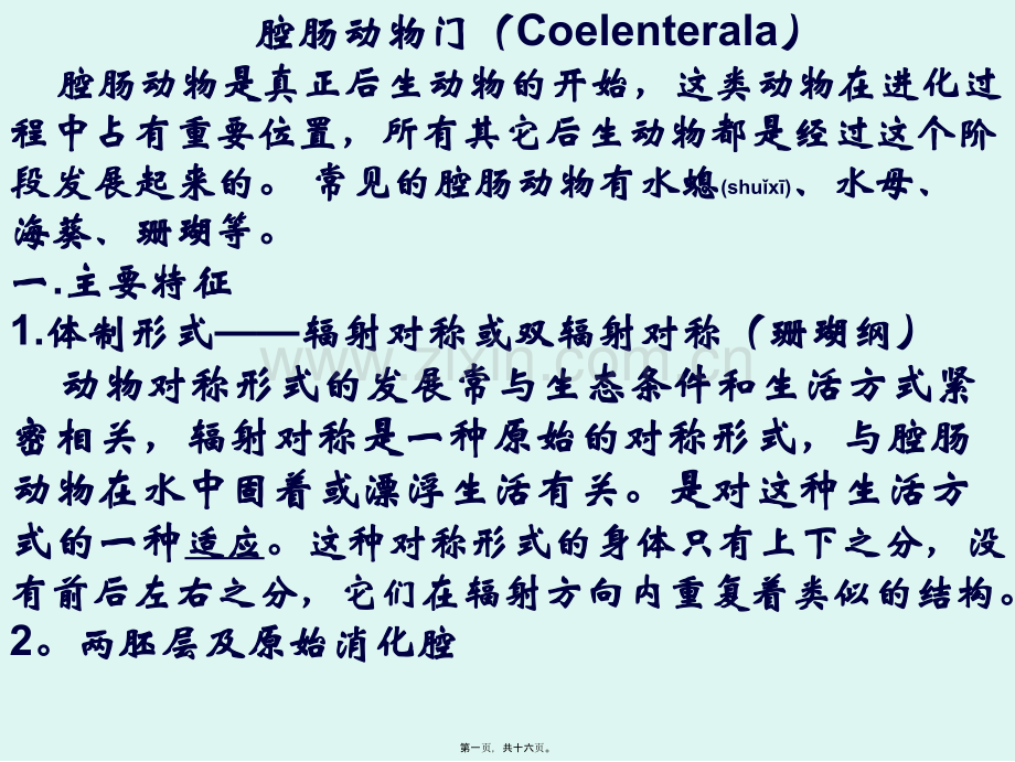 腔肠动物门Coelenterala腔肠动物是真正后生动物开.ppt_第1页