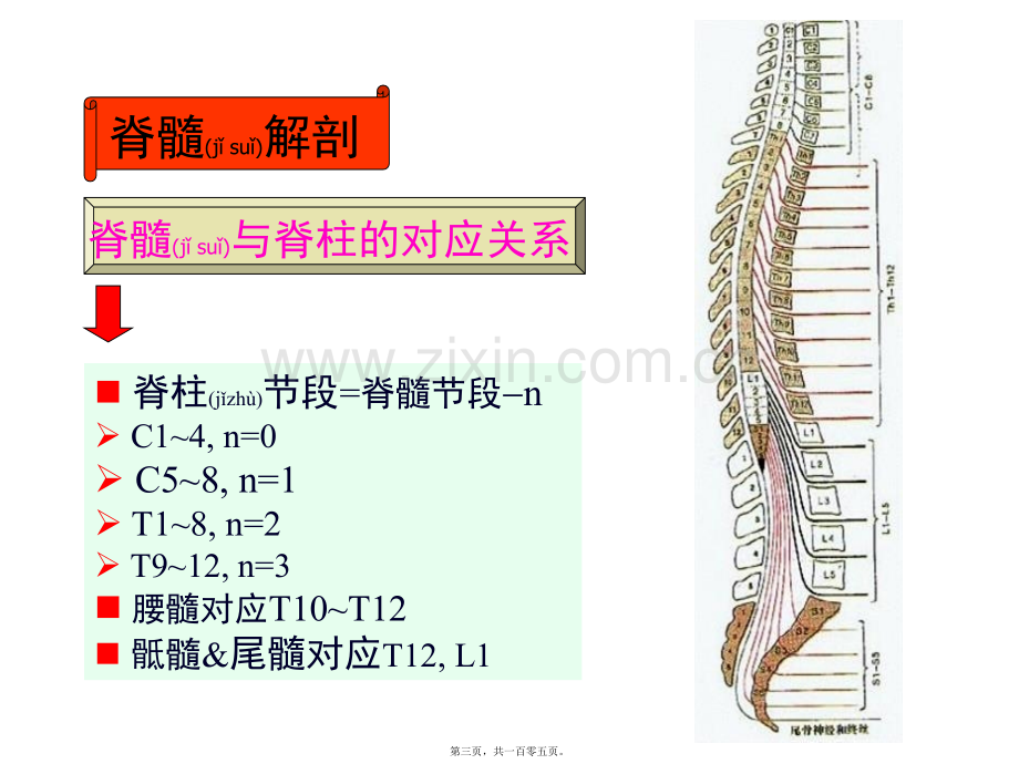 j神经病学脊髓病变.pptx_第3页