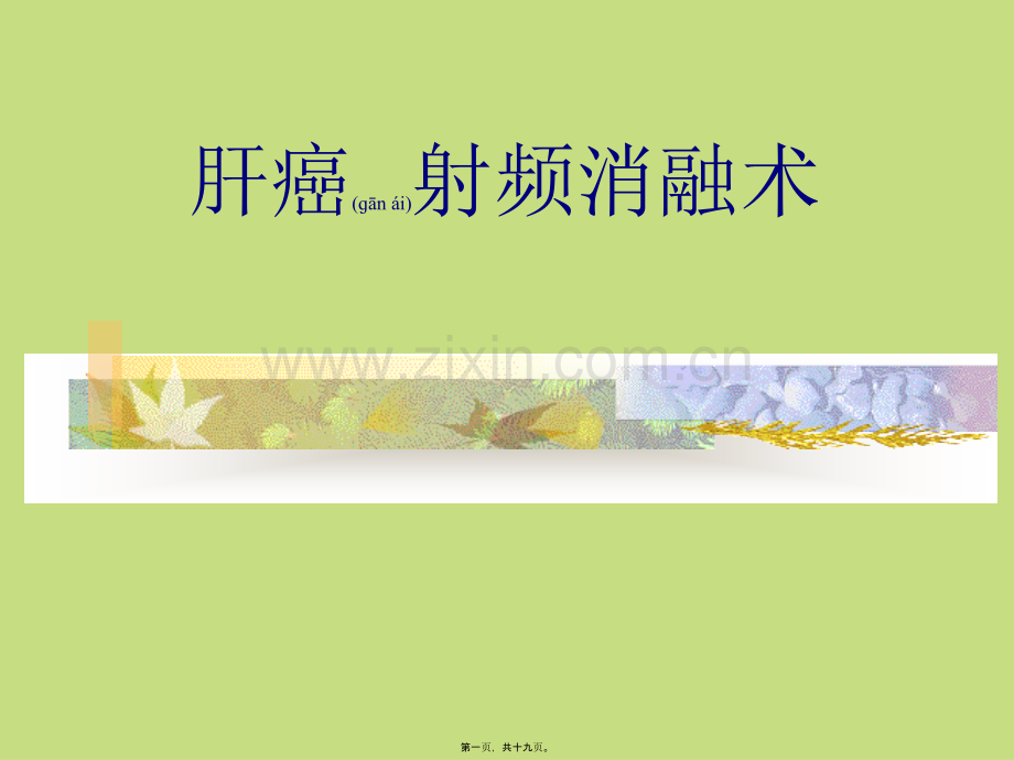 肝癌射频消融术.ppt_第1页