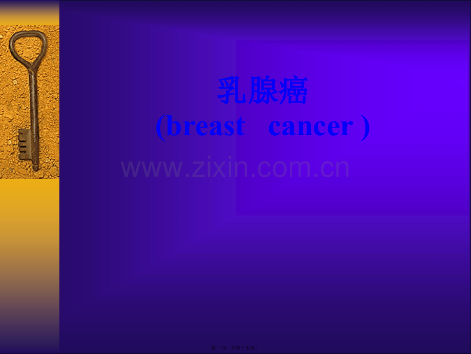 学术讨论—乳腺癌-2概述.ppt_第1页