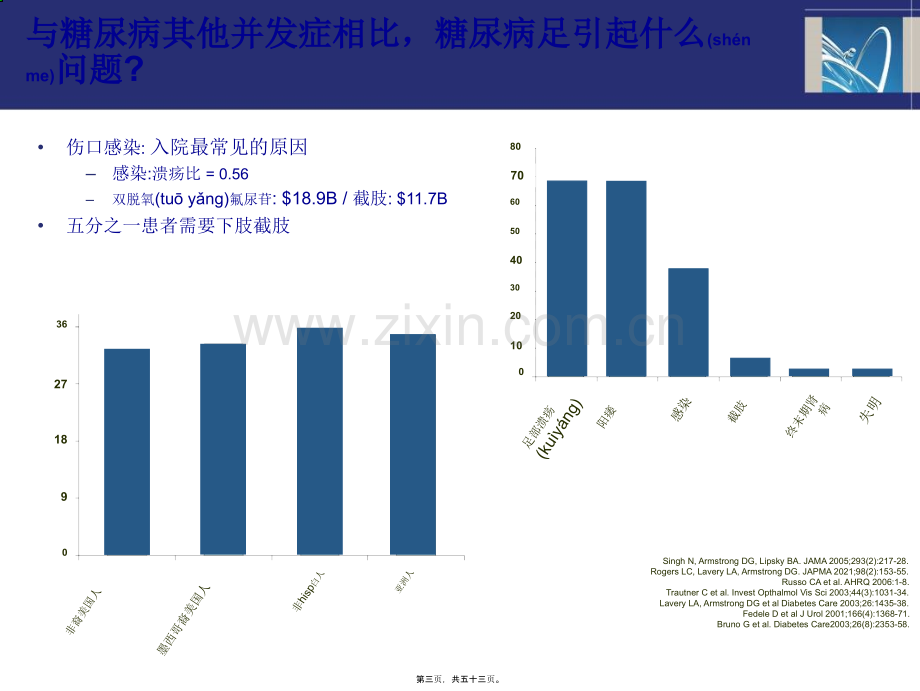 -评估糖尿病足危险性方法的共识.ppt_第3页