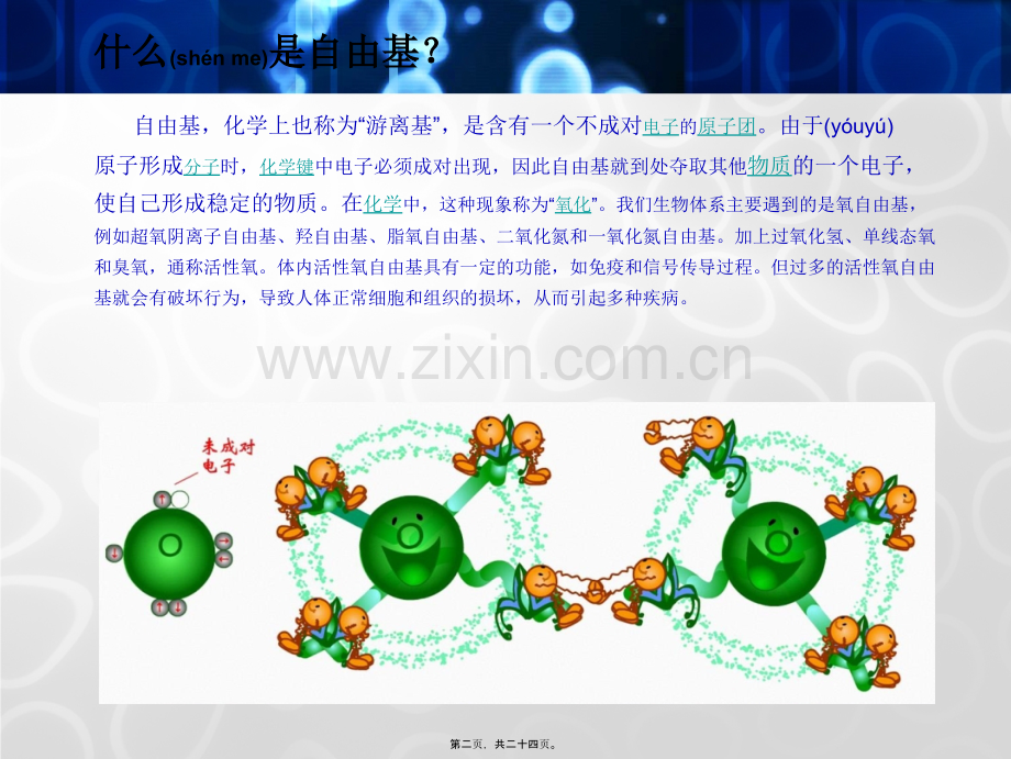 学术讨论—人体衰老的根源——自由基剖析.ppt_第2页