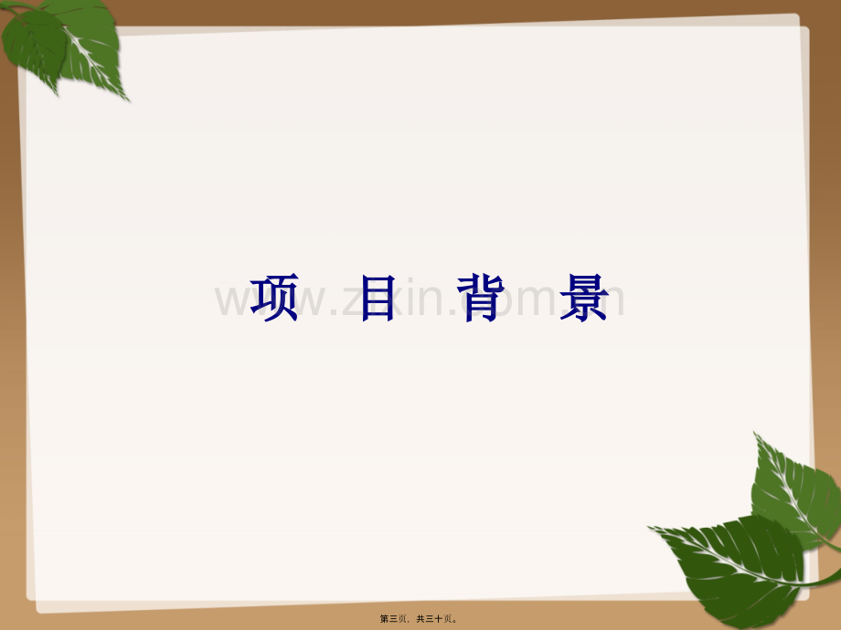 学术讨论—乙肝母婴阻断项目.ppt_第3页