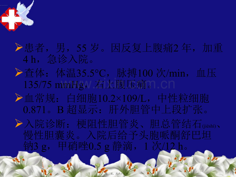 脓毒症脓毒性休克.ppt_第2页