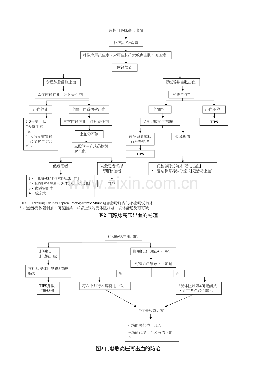 上消化道出血流程图.docx_第2页