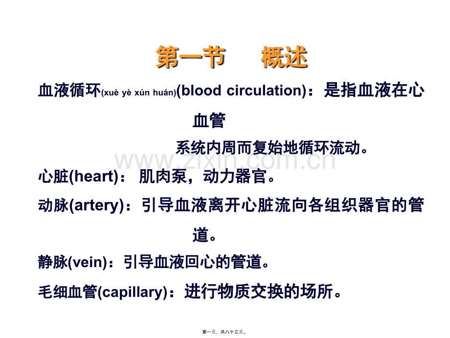 七章血液循环-PPT文档.ppt_第1页