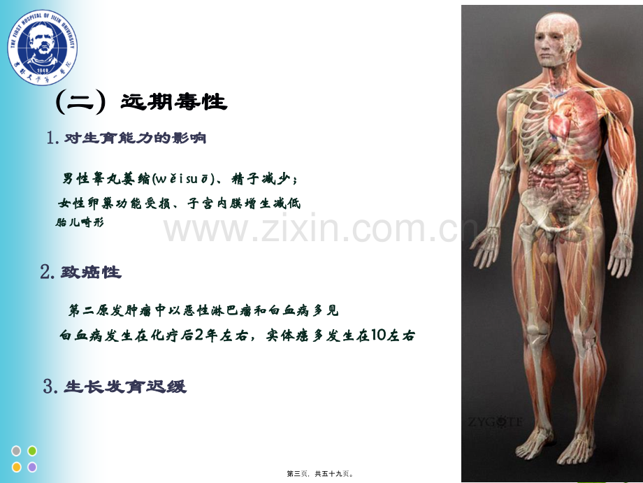 ZCZ-化疗常见毒副反应及处理.ppt_第3页