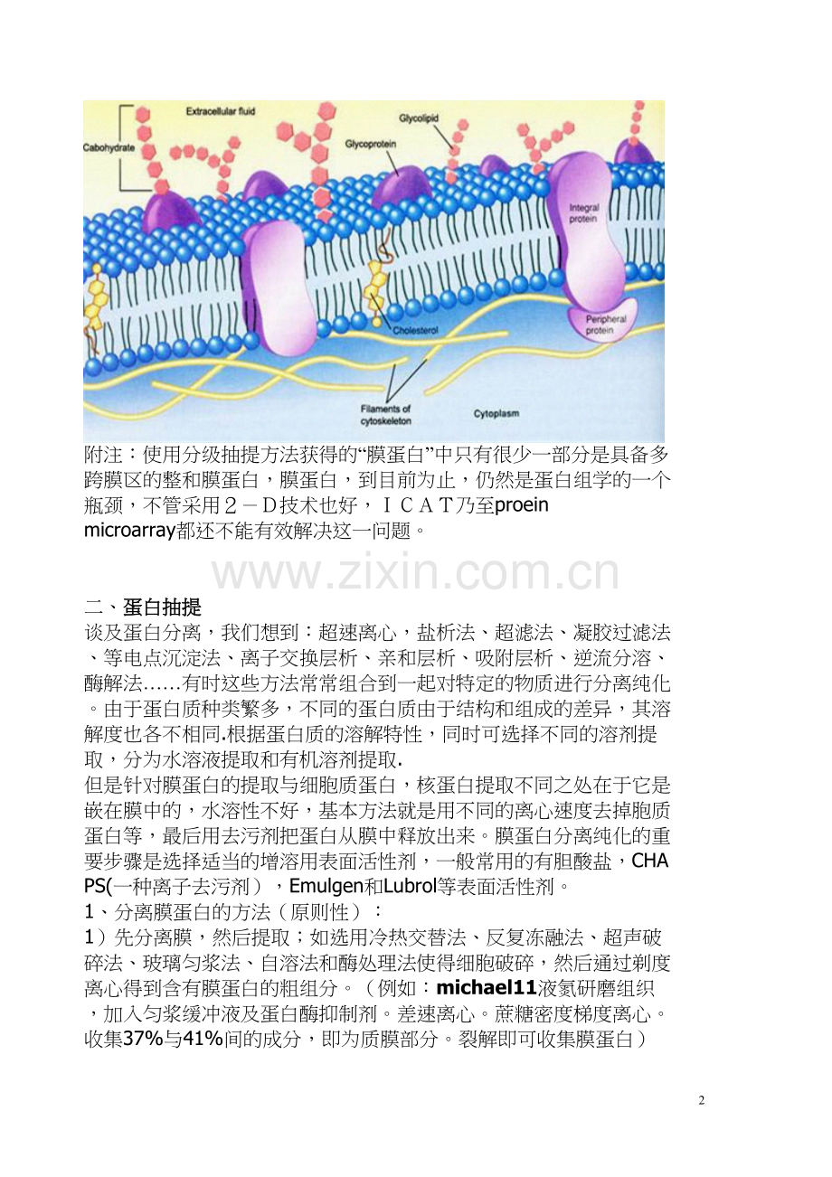 膜蛋白的提取与分离.docx_第2页