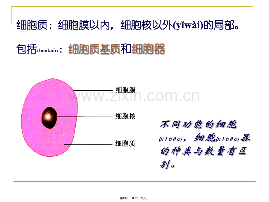 kj-细胞器──系统内的分工合作-ppt.ppt_第2页