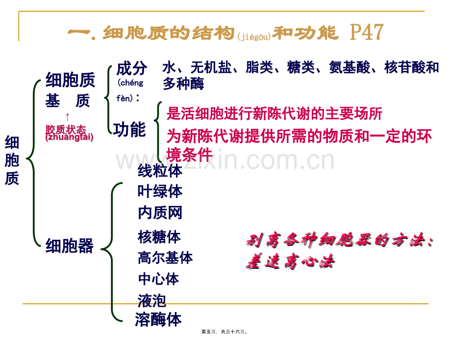 kj-细胞器──系统内的分工合作-ppt.ppt_第3页