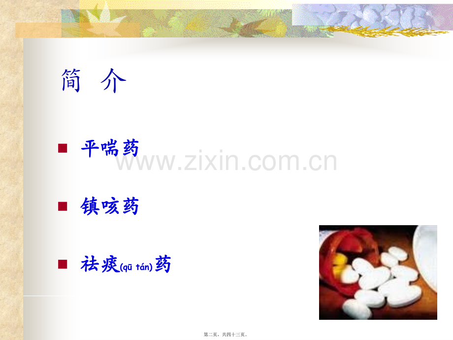 -呼吸系统用药.ppt_第2页