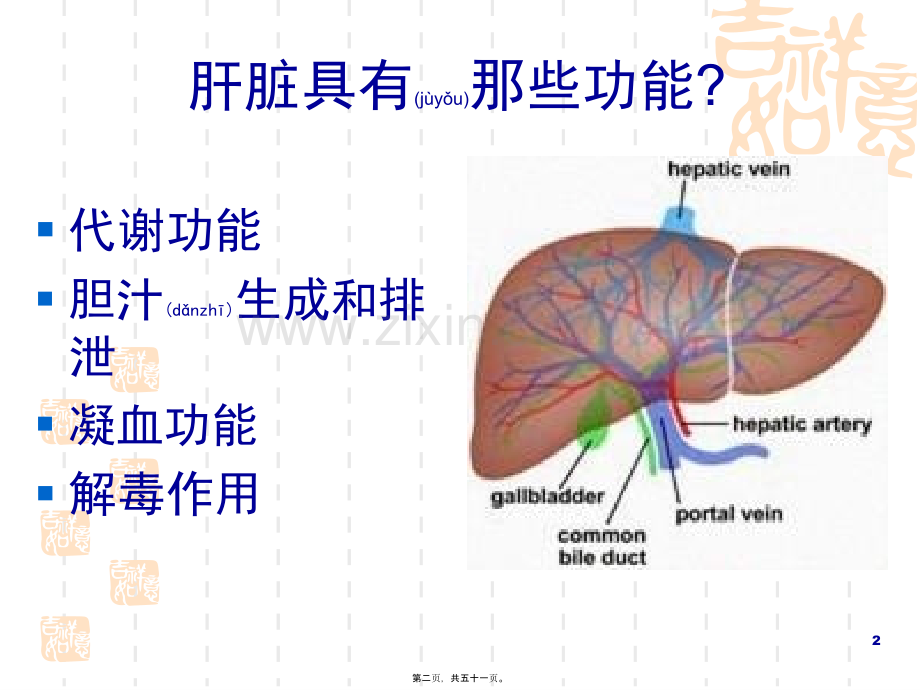 肝功能化验异常的分析与解释.ppt_第2页