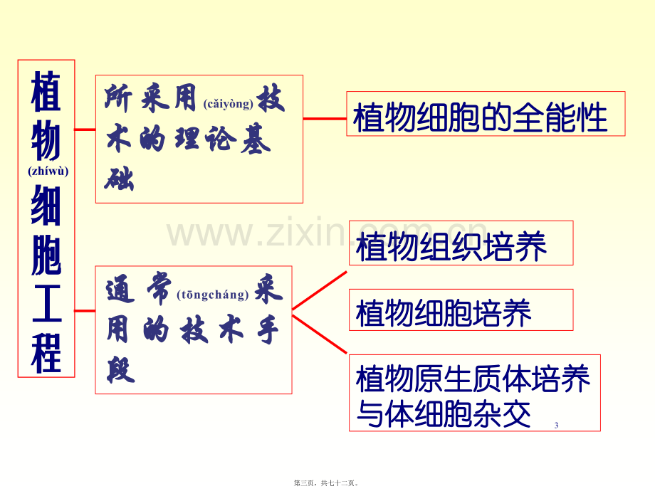 xb四、植物组织与细胞培养.ppt_第3页