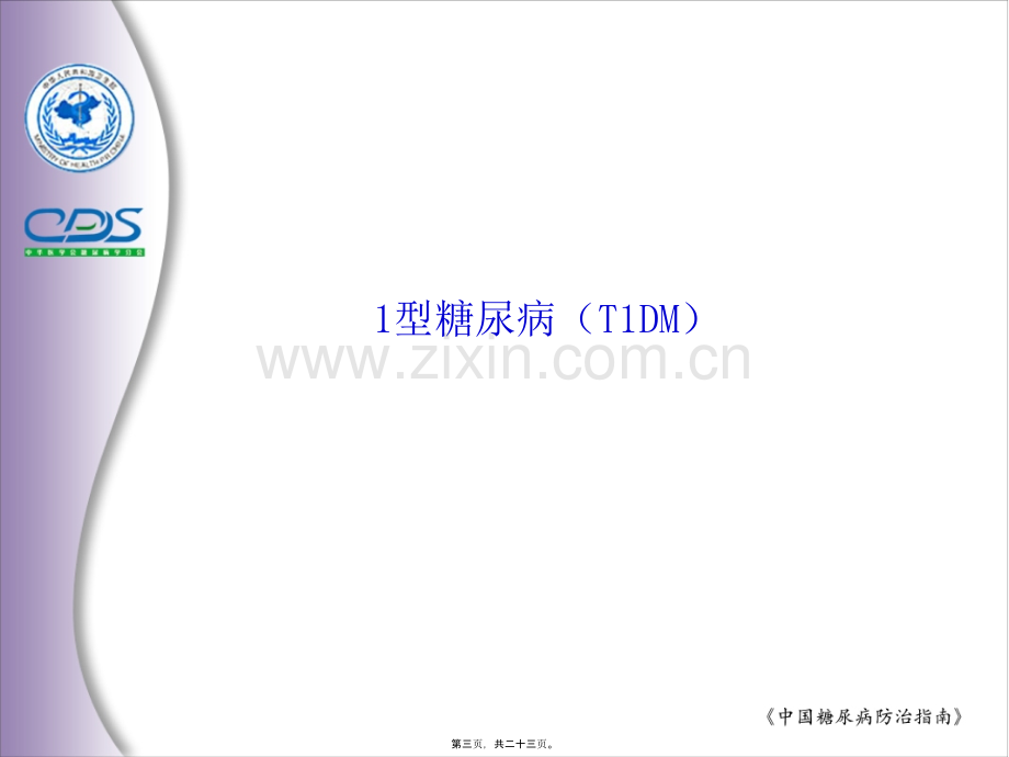 中国糖尿病防治指南2.ppt_第3页