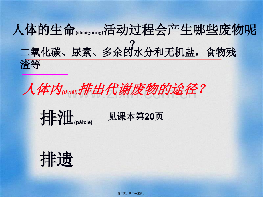 人体内废物的排出——泌尿系统的组成.ppt_第2页