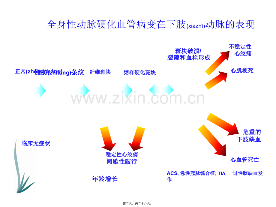 下肢动脉硬化闭塞症诊治指南.ppt_第2页