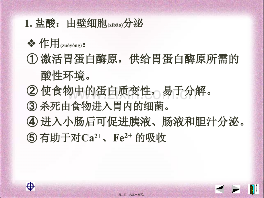 学术讨论—胃的结构及功能：.ppt_第2页