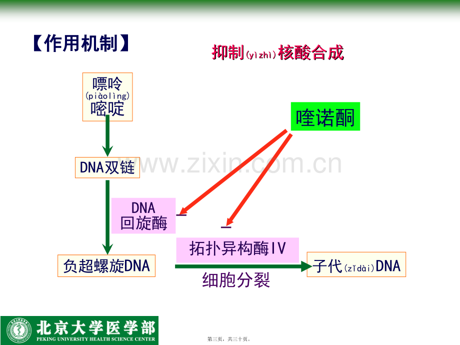 人工合成抗菌药-北医.ppt_第3页