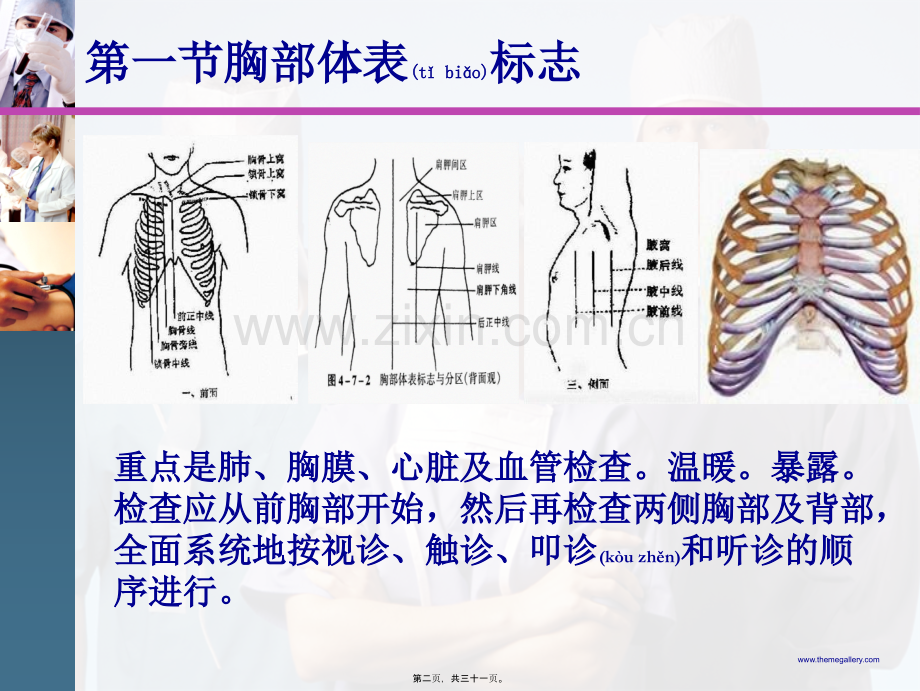 胸廓.肺部视、触诊.ppt_第2页