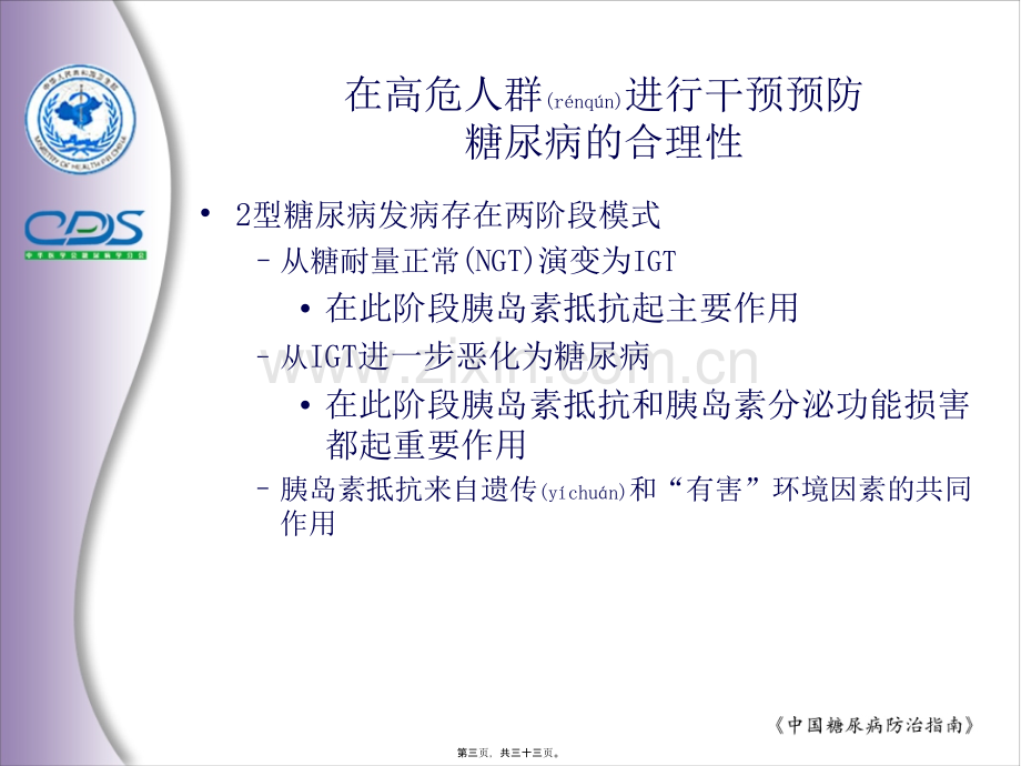 中国糖尿病防治指南.ppt_第3页