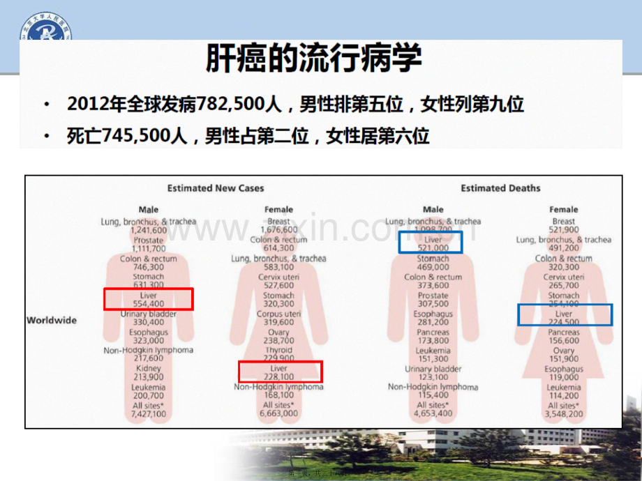 学术讨论—肝癌的流行病学和发病风险.pptx_第3页