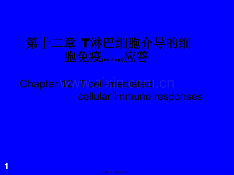 T淋巴细胞介导的细胞免疫应答.ppt_第1页