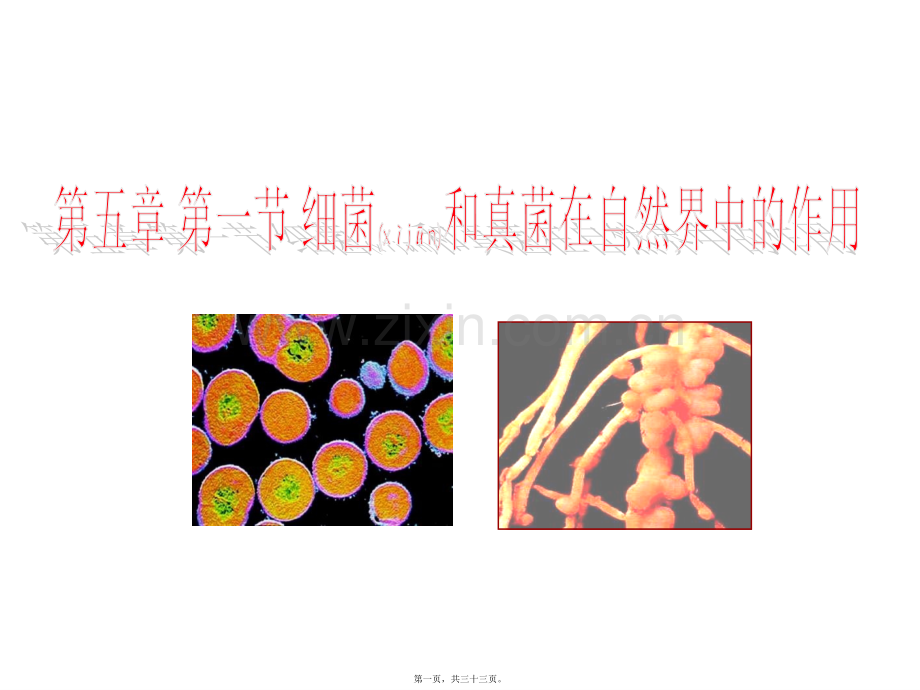 人教版八上第四章第四节细菌和真菌在自然界中的作用.ppt_第1页