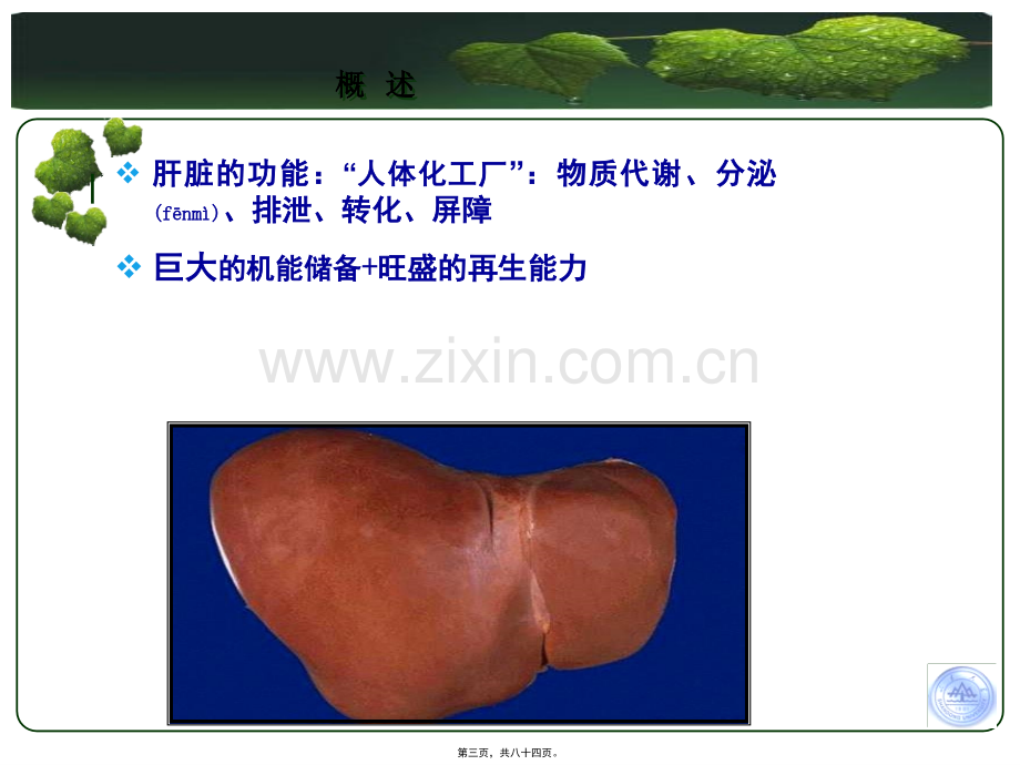 肝功能不全1104.ppt_第3页