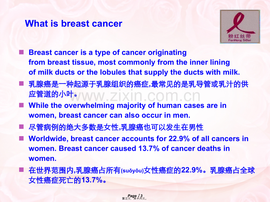 乳腺癌演讲.ppt_第3页