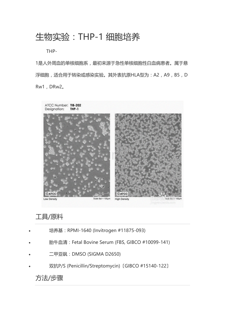 学术讨论—THP-1-细胞培养.doc_第1页