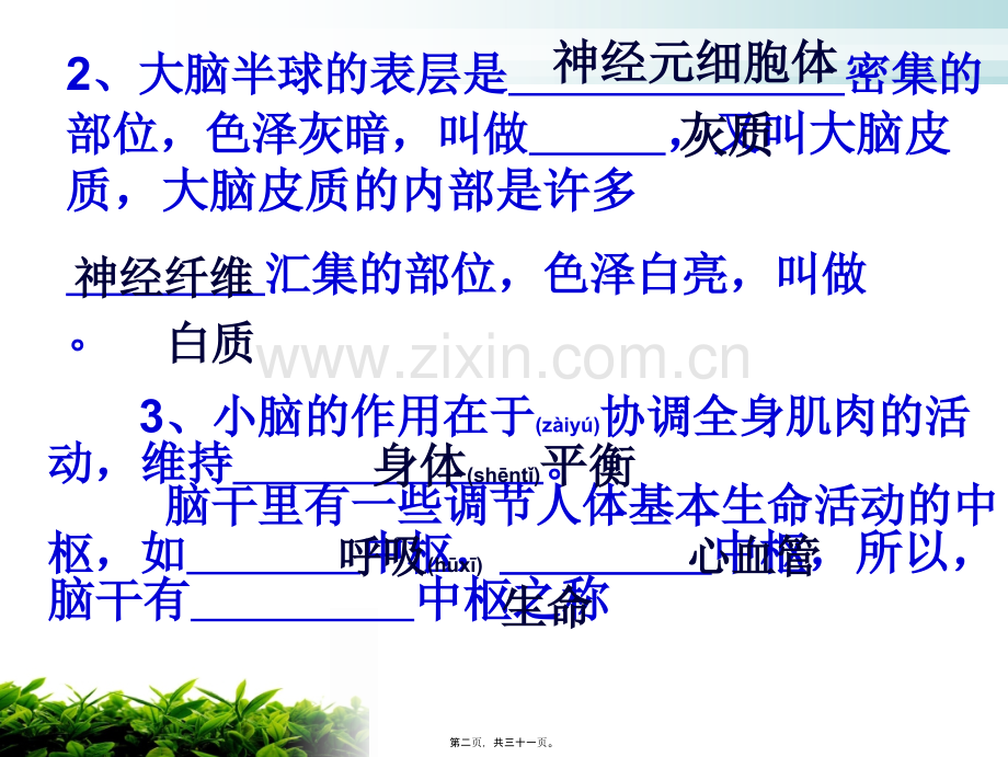 人体的神经调节(2)反射和反射弧资料.ppt_第2页