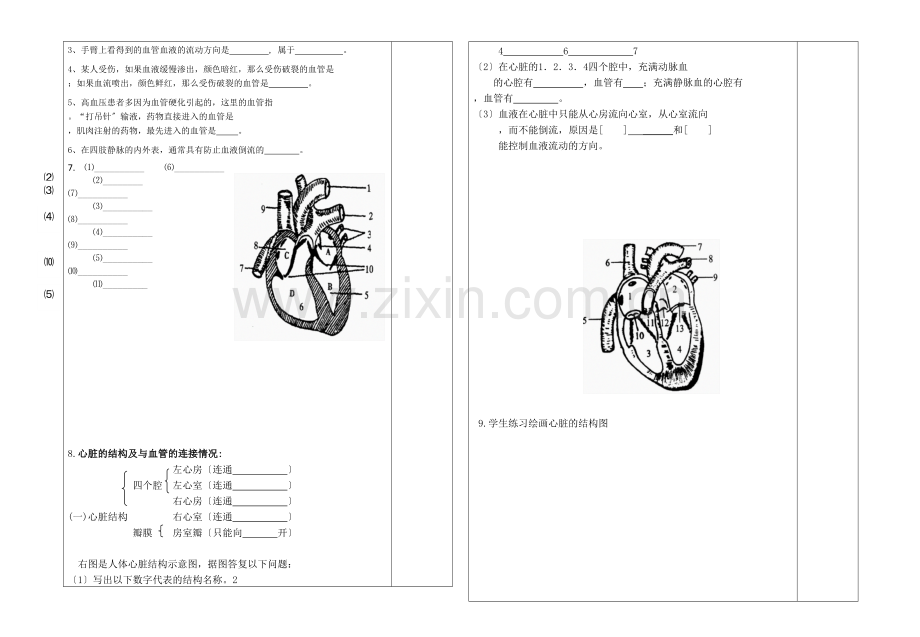 学术讨论—七下10-2人体内的血液循环.doc_第2页