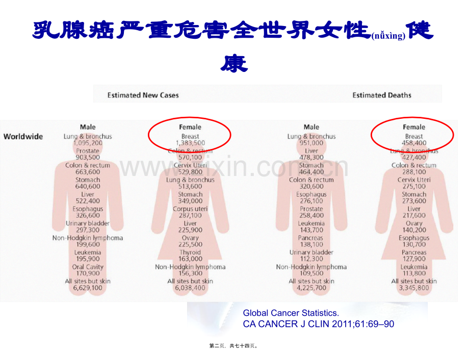 乳腺癌诊治指南与规范.ppt_第2页