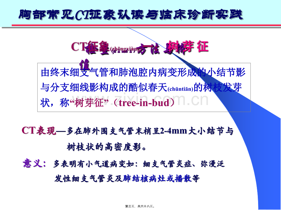 胸部常见CT征象.ppt_第3页