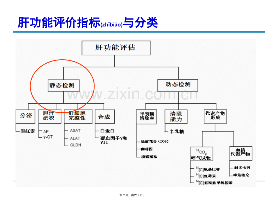 肝功能常规检查的分析监测意见修订4.ppt_第2页