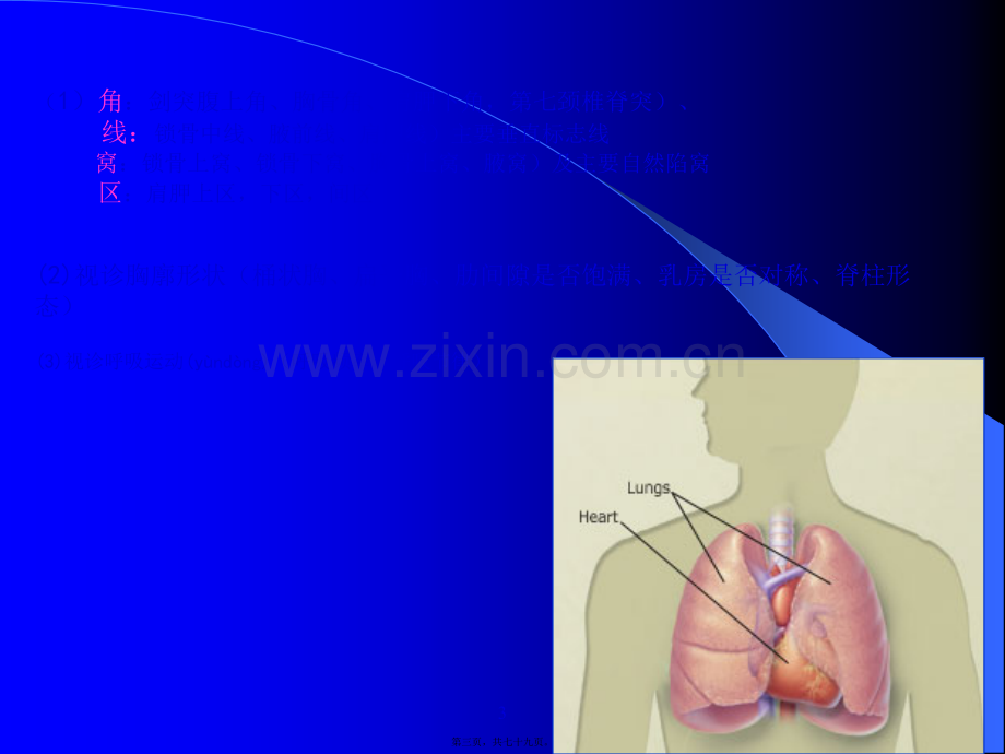 胸腹部体格检查.ppt_第3页