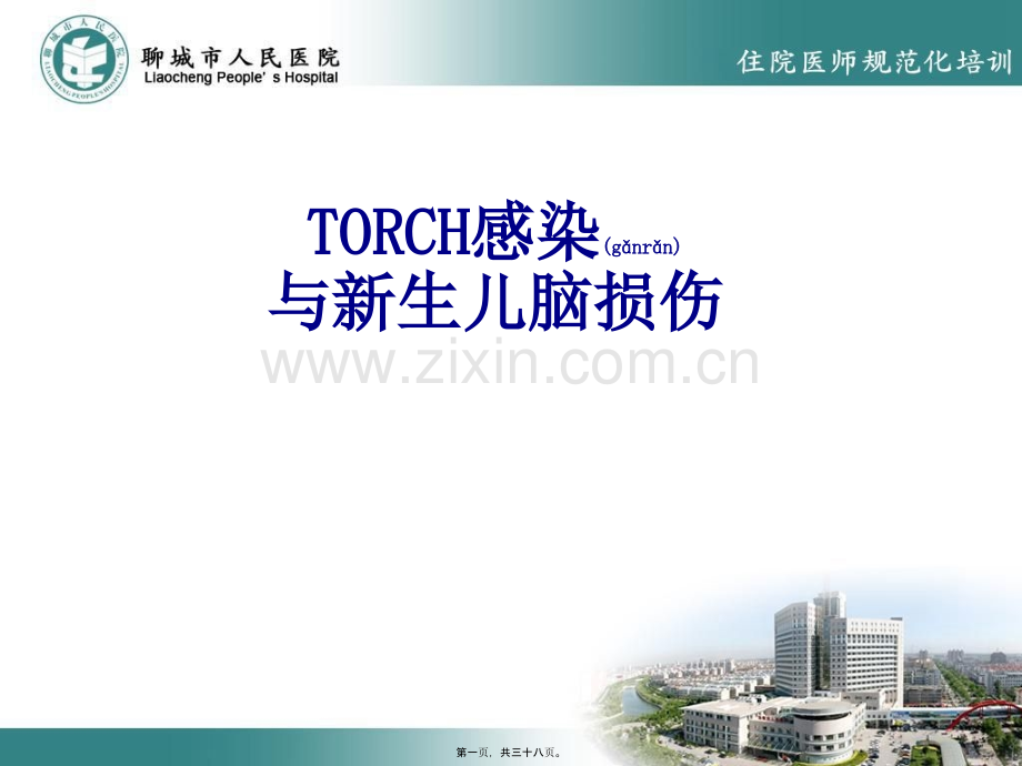 TORCH感染与新生儿脑损伤.ppt_第1页