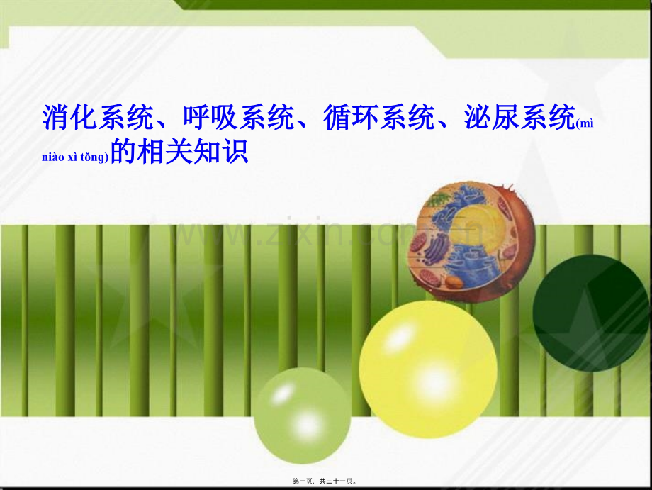 人体消化呼吸循环泌尿系统.ppt_第1页