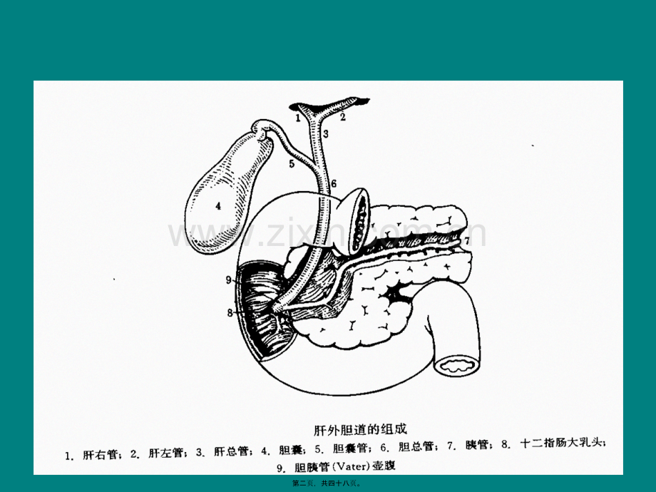 学术讨论—腹腔镜胆囊切除术相关并发症.ppt_第2页