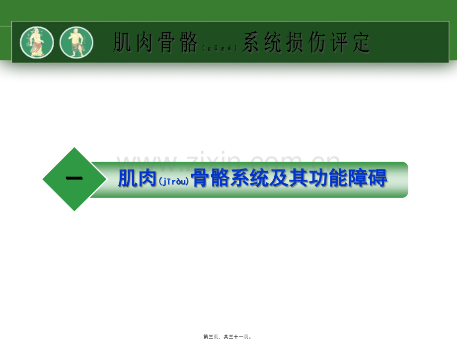 肌肉骨骼系统损伤的评定一.ppt_第3页